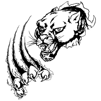 Cougar